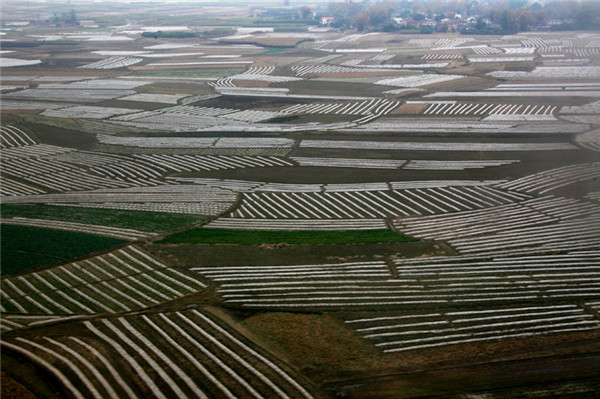 土壤養(yǎng)分速測(cè)儀分析園林樹(shù)木土壤肥力