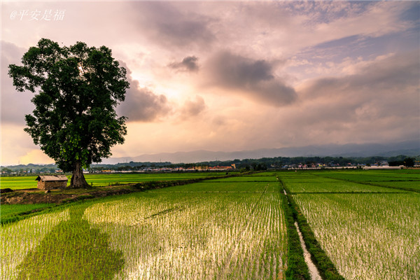 土壤墑情速測(cè)儀的使用效果怎么樣？