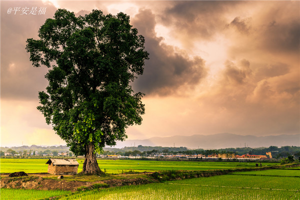 土壤水分速測(cè)儀主要有哪些優(yōu)點(diǎn)？