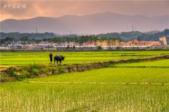 土壤養(yǎng)分速測(cè)儀實(shí)現(xiàn)用地與養(yǎng)地相結(jié)合