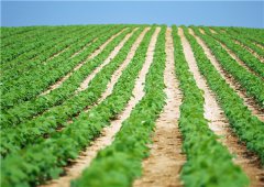 土壤墑情監(jiān)測站有哪些價值體現(xiàn)？