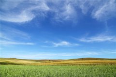 土壤水分溫度速測(cè)儀教你如何管理黃瓜