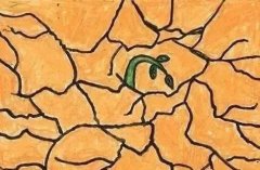 土壤墑情監(jiān)測(cè)儀功能介紹