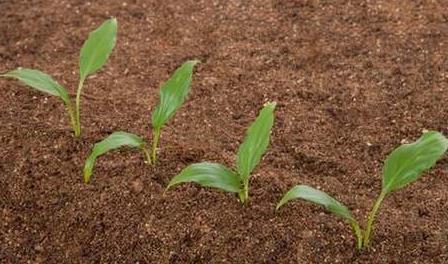 物聯(lián)網(wǎng)技術(shù)在土壤墑情監(jiān)測系統(tǒng)中的應(yīng)用