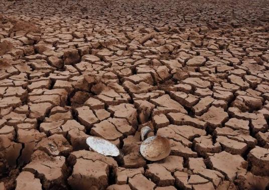 遠(yuǎn)程墑情自動監(jiān)測系統(tǒng)設(shè)計(jì)思路