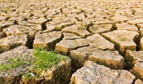 目測(cè)土壤墑情？