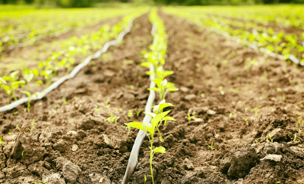 為什么要開展土壤墑情監(jiān)測工作？