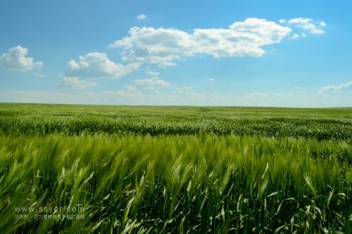 智慧農(nóng)業(yè)帶來了什么？